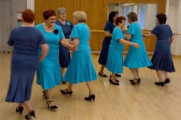 Maecenas bibendum nec arcu vel sodales. Sed maximus gravida sagittis. Sed vitae enim urna. Curabitur ornare eleifend dolor, at tempus dolor blandit nec.